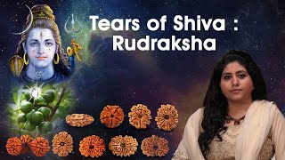 Everything About Rudraksha  Secrets amp Benefits Of Rudraksha 1  21 mukhi Gaurishankar Trijuti [upl. by Nirhtak]