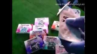 Frontline Tri Act pipetas para perros unboxing [upl. by Ennirak]