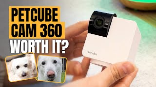 For Pet Owners who have separation anxiety 🐶 Petcube Cam 360 Review [upl. by Kermie112]