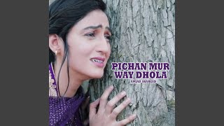 Pichan Mur Way Dhola [upl. by Oiliduab]