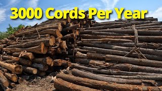 Lessons From a 3000 CordYear Firewood Business [upl. by Otrebtuc]