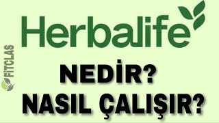 Herbalife Nedir ve Nasıl Çalışır [upl. by Vonni586]