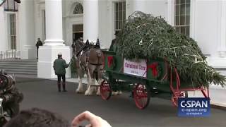 White House Christmas Tree Delivery CSPAN [upl. by Marge85]