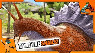 TAMING ACHATINA ARMY FOR ALL THE CEMENTING PASTE  ARK Crystal Isles DLC  EP9 [upl. by Aettam625]