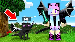 ICE DRAGON Armor Speedrunner vs Hunter in Minecraft [upl. by Ruenhcs]