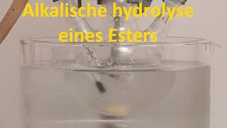 Alkalische Hydrolyse von Methylacetat [upl. by Luiza674]