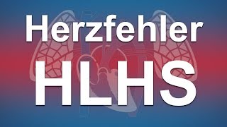 Herzfehler einfach erklärt Hypoplastisches Linksherzsyndrom HLHS [upl. by Waldemar]