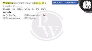 Meandrina is commonly known as brain coral is a member of \nChoose the option which fill [upl. by Svoboda]