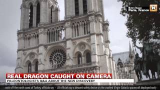 Real Dragon caught on camera [upl. by Aitnauq551]