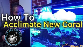 How To Acclimate New Coral Purchases Into Your Tank Beautiful coral shipment from Fish Are Friends [upl. by Aicirtap515]