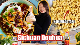 How to Make Silken Tofu from Scratch  Dou Hua Vegan [upl. by Bunni183]