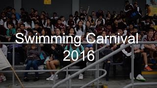 Swimming Carnival 2016 Highlights [upl. by Templa459]