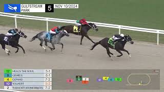 Gulfstream Park Replay Show  November 10 2024 [upl. by Odnanreh630]