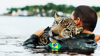 20 Mensen Die Levens Van Dieren Redden Vastgelegd Op Camera [upl. by Oliver]