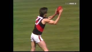 1983 Grand Final Hawthorn v Essendon ABC Version [upl. by Carlee]