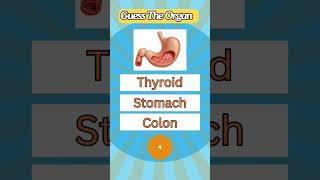 How Many Human Body Parts Can You Guess Guess The Organ shorts quiz testyourknowledge anatomy [upl. by Sicard]