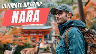 Ultimate Day Trip to Nara Japan  Day Trip from Osaka [upl. by Atalante188]