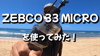 ZEBCO 33 MICRO で釣ってみた！【ハワイおやじ釣り日誌】 [upl. by Loggia]