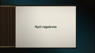 Nyúl raguleves [upl. by Hillell257]