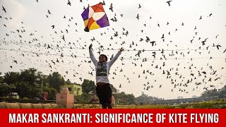 Culture Shauk  Makar Sankranti Significance Of The Kite Flying Festival [upl. by Conn57]