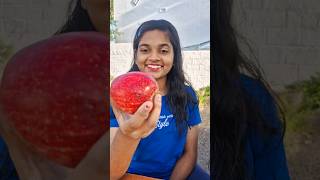 How to peel an apple 🍎 in 10 seconds 🤔TomampJerry 😱DiyaIshwarya shorts [upl. by Panther]