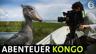 Abenteuer Kongo ‒ Das Makingof  Erlebnis Erde [upl. by Ynagoham636]