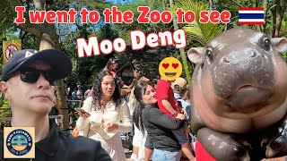 I went to the zoo to see Moo Deng 🦛 Khao Kheow open zoo 🇹🇭 long queue [upl. by Masry51]