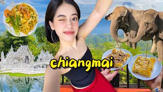 exploring northern thailand 🇹🇭  chiang mai amp chiang rai  bomb street food elephants temples [upl. by Carlotta]