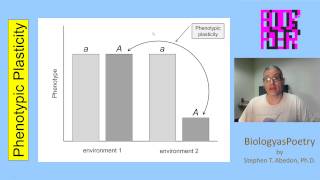 Phenotypic Plasticity [upl. by Annohsak92]