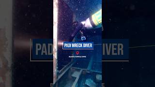 Explore Shipwrecks as a PADI Wreck Diver Wreck Diver Specialty course  delve into History ⛴️ ⚓️ [upl. by Suhail]