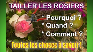 Tailler les rosiers  pourquoi quand et comment  Toutes les bases à connaître [upl. by Tarrel]