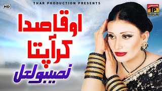 Naseebo Lal  O Qasida Kar Aa Pata  Marziyan Wala Dhola  Album 11 [upl. by Aikit311]