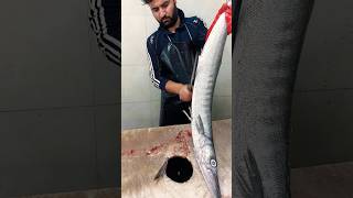 Fast filleting of barracuda fish fishcutting [upl. by Helenka]