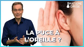 Une prothèse auditive invisible ET efficace  🦻  Matière Grise [upl. by Sutelc]