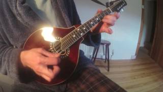 Dunmore Lasses reel Mandolin [upl. by Artened]