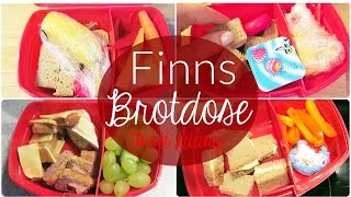 Food Diary  Finns Brotdose für die Kita  JuMarie [upl. by Charin377]