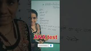 ANA Test  Immune Disorder test  Antinuclear Antibody shorts viral [upl. by Llennehc]