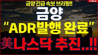 금양 quotADR 발행 완료quot 미국 나스닥 진출 추진 금양 긴급 속보 브리핑 [upl. by Atsilac]