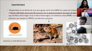 Hantavirus [upl. by Moulden]