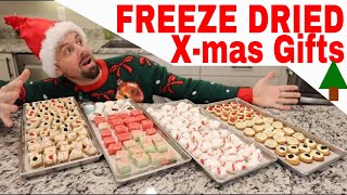 FREEZE DRIED Christmas Gifts Eggnog Bites Candy Cane Taffy Cheese Cake Bites Vanilla Wafers [upl. by Rhonda779]