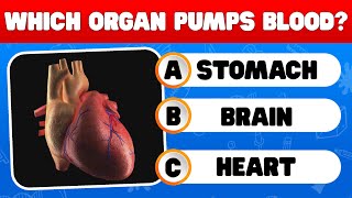 Human Body Trivia  How Much Do You Know   Quiz Realm [upl. by Balfour930]