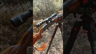 Remington Woodmaster Model 742 and 44 MAGNUM ￼Virginian Dragoon  gun review viral [upl. by Barbarese]