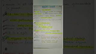 Krebs cycle PHYSIOLOGY krebscycle [upl. by Repmek633]