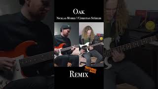 Oak  nicklasmyhre amp Christian Stähler Remix 🤓🎸🎶 [upl. by Bluma]