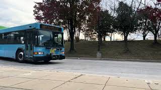 Montgomery County Transit Ride On Gillig LF Advantage Hybrid Bus 5362 at Glenmont Metro Station [upl. by Leind]