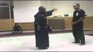 Ninjutsu khosho ryu with Master Ali Karim [upl. by Ennairam813]