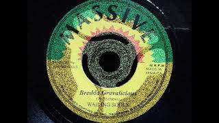 BREDDA GRAVALICIOUS  VERSION  Wailing Souls [upl. by Enirahtac]