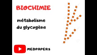 métabolisme du glycogène [upl. by Mossolb]