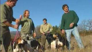 Les meutes de chiens courants Vol2 [upl. by Rancell]