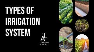 Crop Science Q amp A  Types of irrigation systems [upl. by Placida]